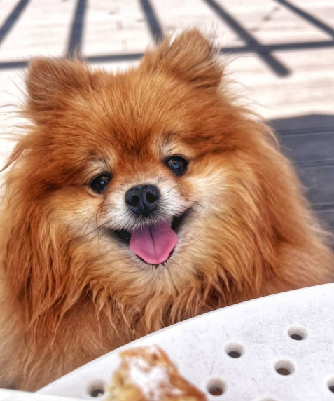 Фото заказчика