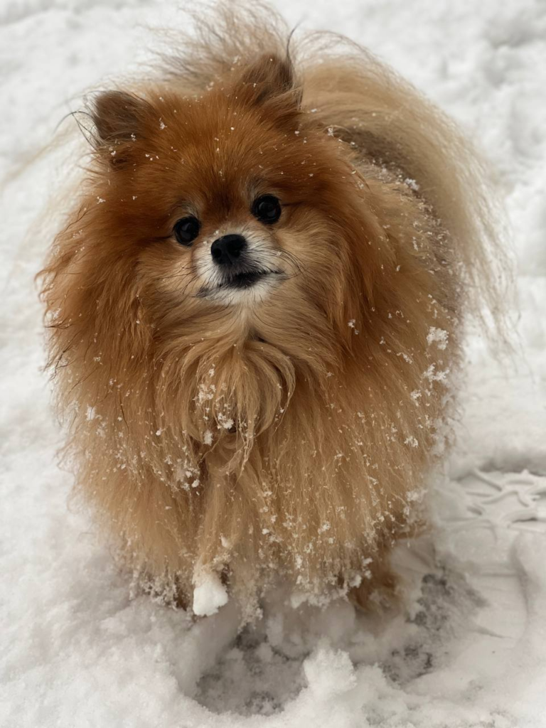 Фото заказчика