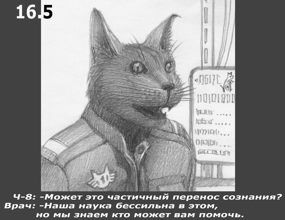 Чик и Бок 16.5.