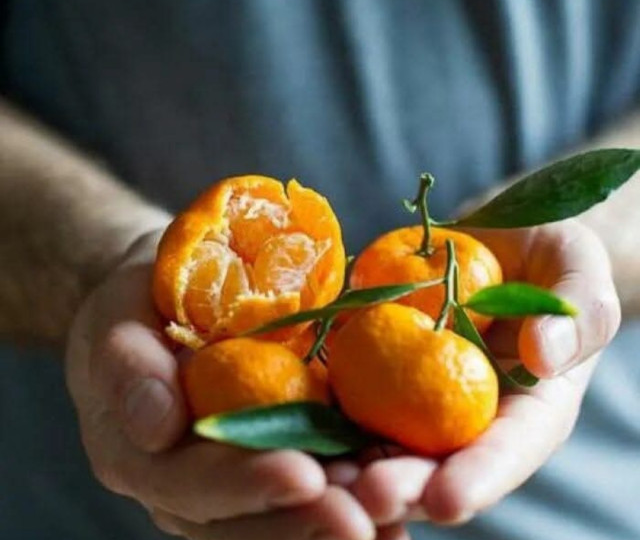 Продавец новогодних мандаринов