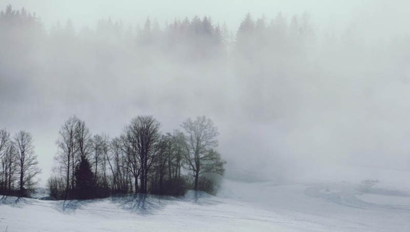 Фото: @EyeEm / freepik.com