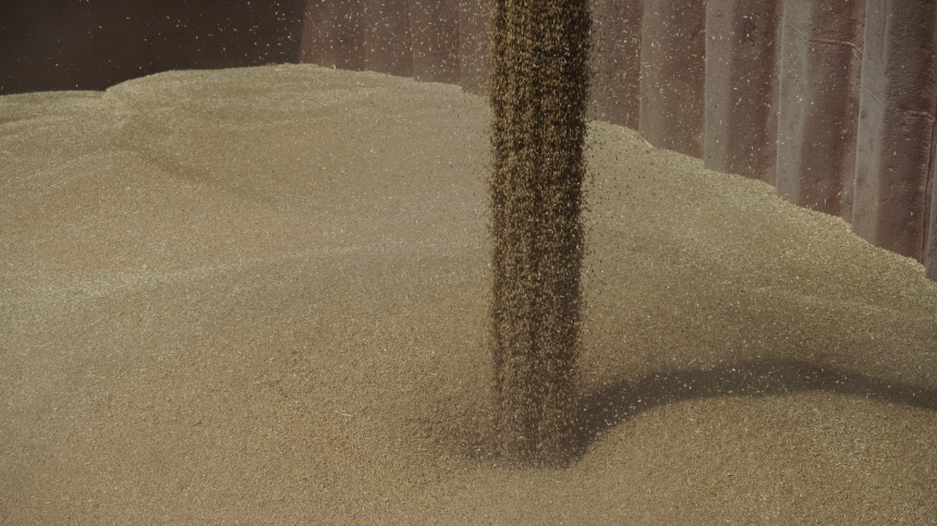    Фото: ИЗВЕСТИЯ/Сергей Венявский; 5-tv.ru