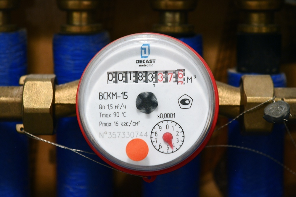    Евгений Одиноков/РИА Новости