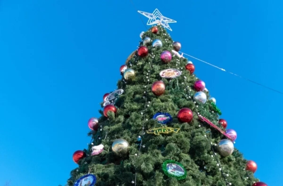    Ель села Тополево Хабаровского края примет участие в конкурсе «Елки России»