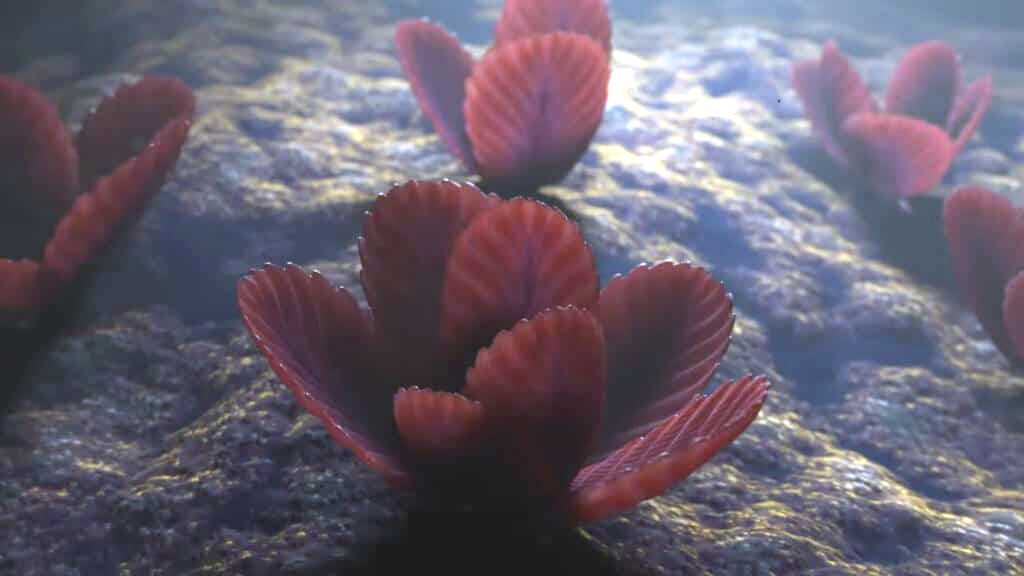 Первые многоклеточные были настолько странными, что их трудно отнести даже к какому-то царству.