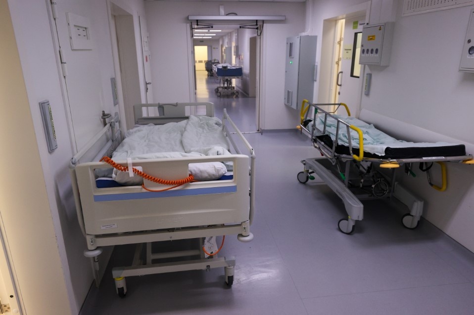    Фото: Belkin Alexey/news.ru/Globallookpress