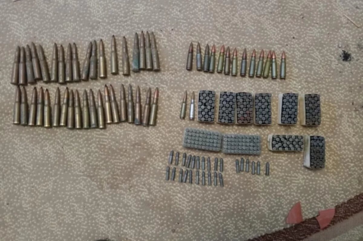    Мужчина унаследовал патроны тестя и попал под статью в Хабаровском крае