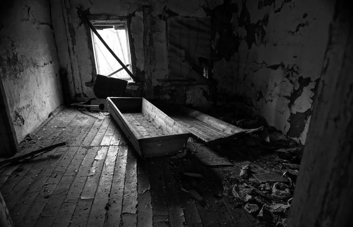 Изображение взято из открытых источников интернета. 