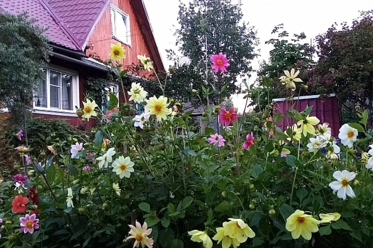    Средняя цена частных домов в Томской области снизилась на 5,2% за год