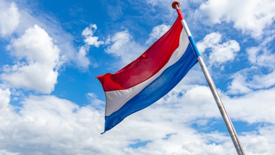    Нидерланды ускорят выделение военной помощи Украине Егор Гордеев