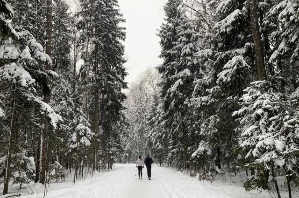    В Красноярске на выходных потеплеет до -3 градусов