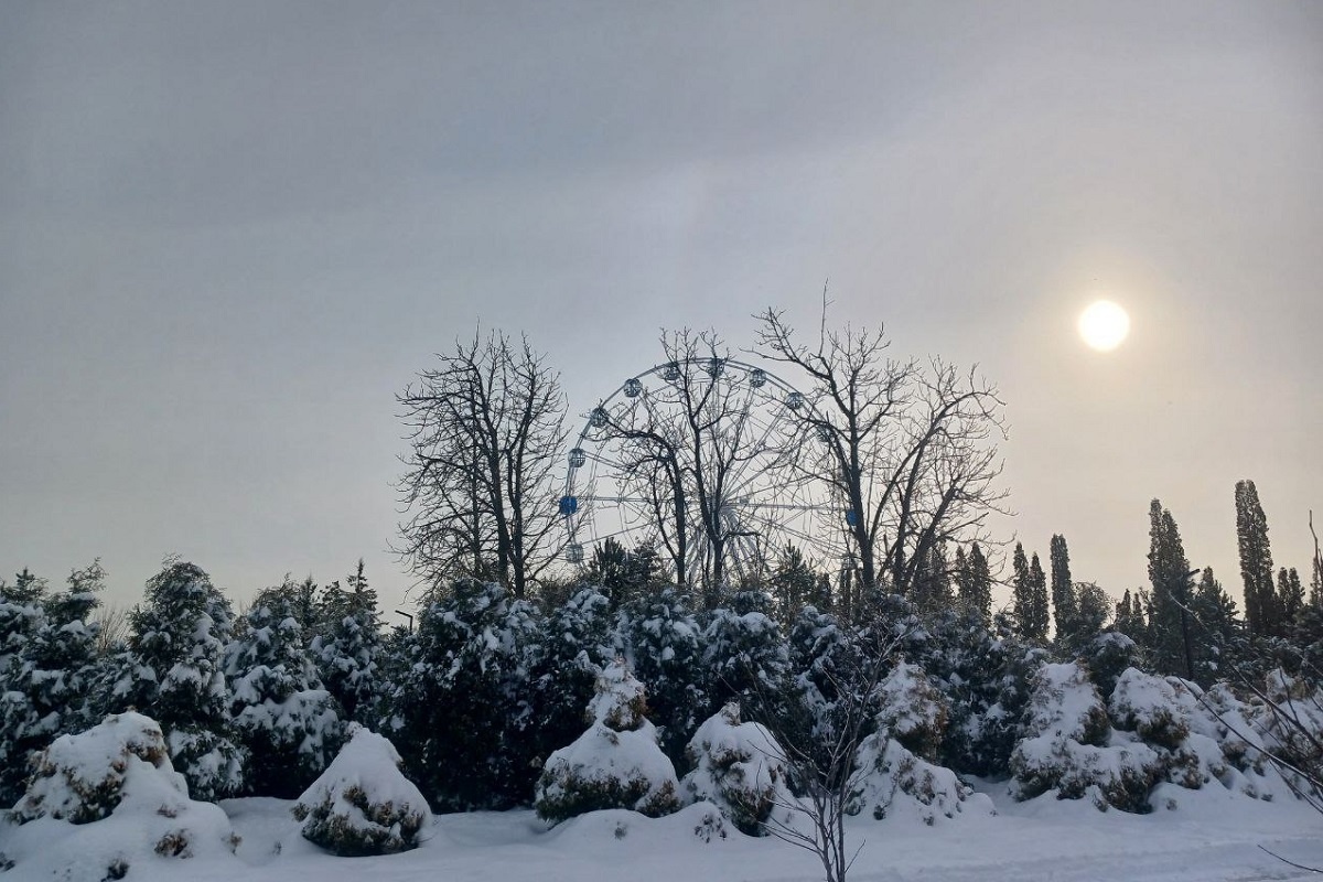 © Фото: ИД «Волгоградская правда» / архив