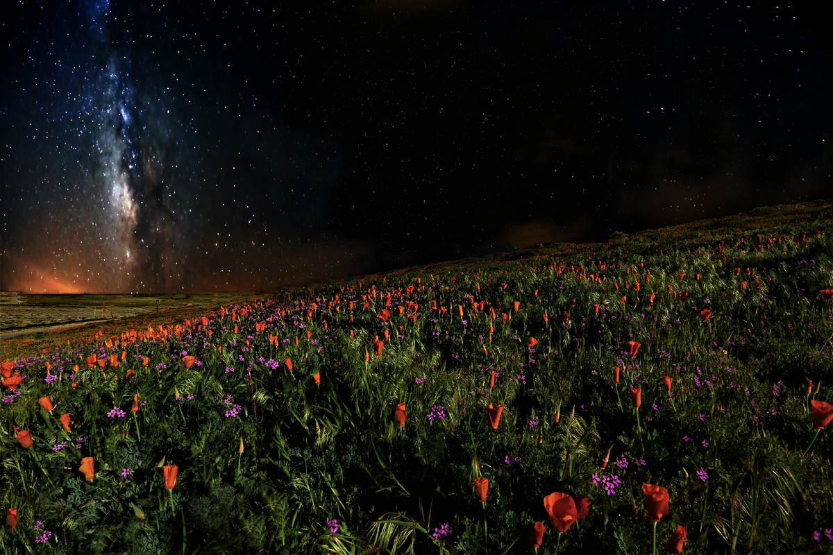 разбирайте на обои