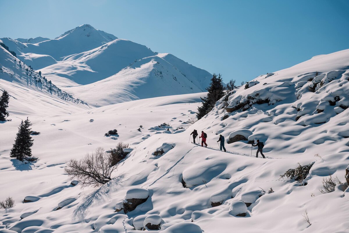 Есть где разгуляться хоть пешком, хоть на лыжах