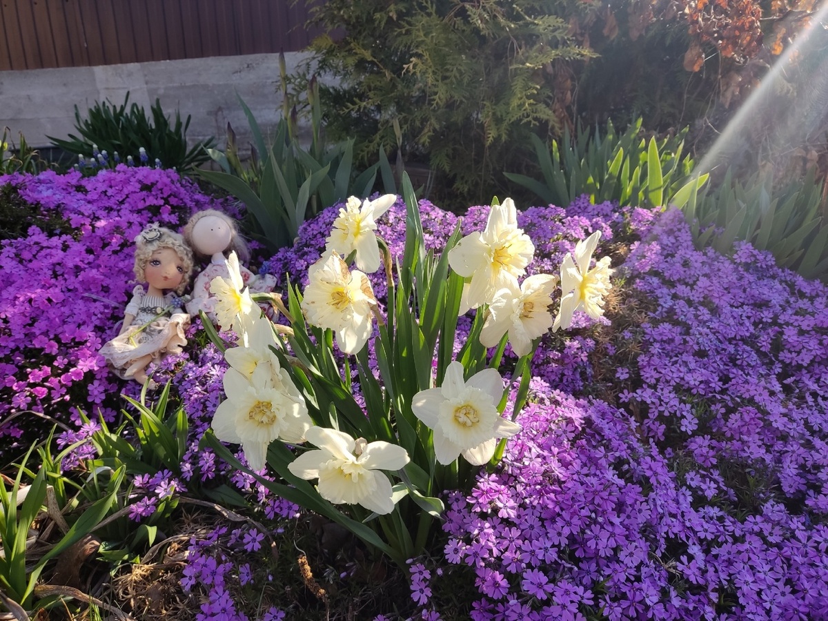 Май в моем саду