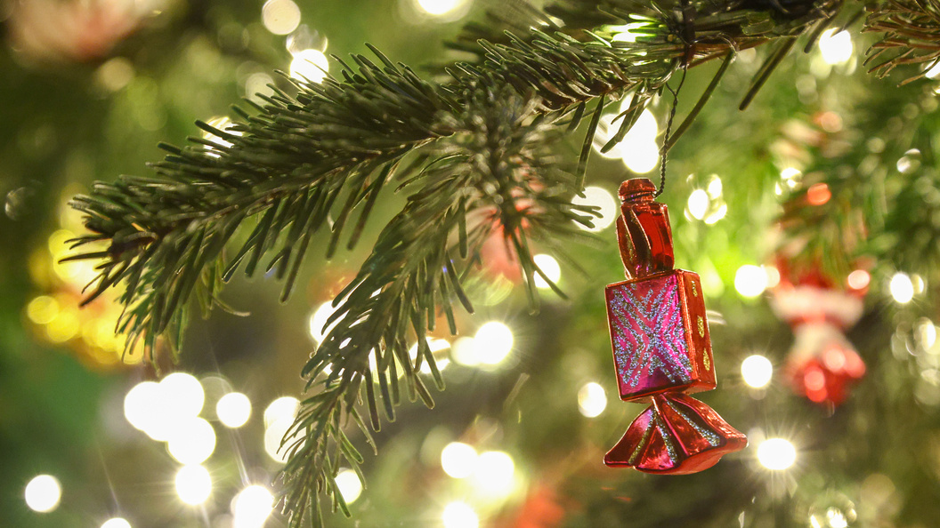    Фото: Shatokhina Natalya/news.ru/Globallookpress