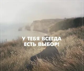 Яндекс картинки.