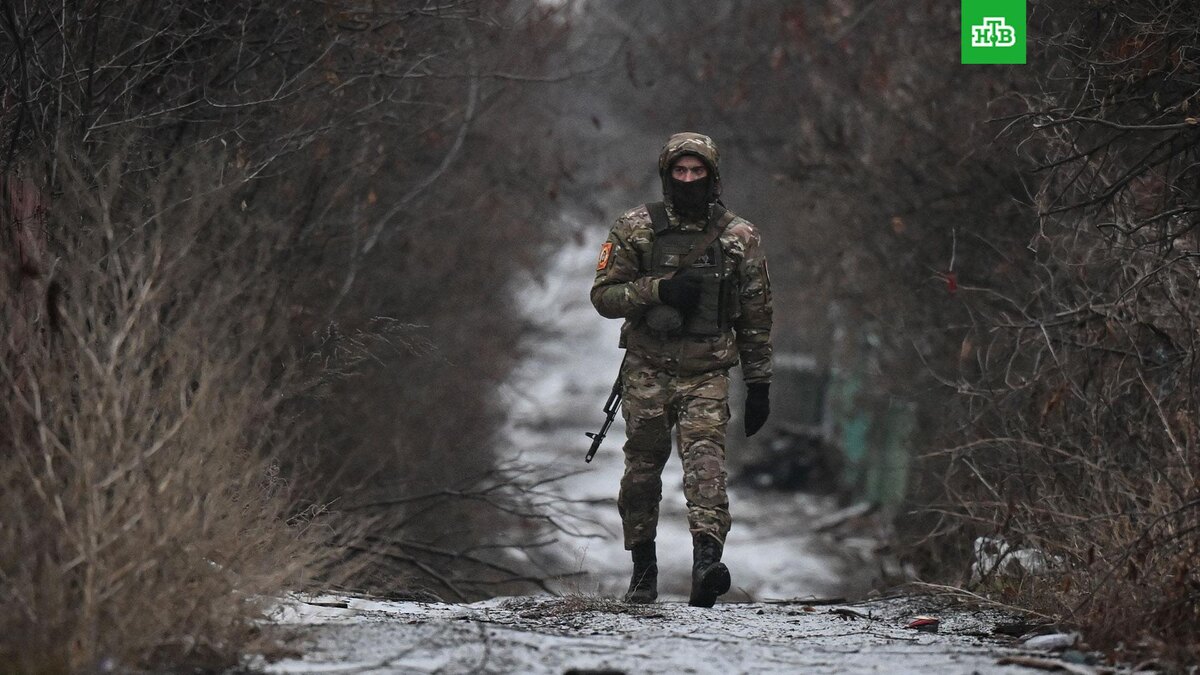    Фото: РИА Новости © 2025, Станислав Красильников