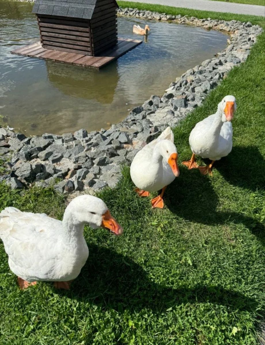 Фото: Ekaterina Orlova, сервис Яндекс Путешествия