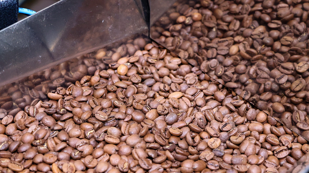    Фото: Petrov Sergey/Globallookpress