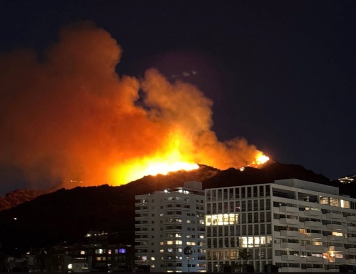    «Это в 15 минутах езды от нас»: Оренбурженка, проживающая в Лос-Анджелесе, рассказала о ситуации с лесными пожарами