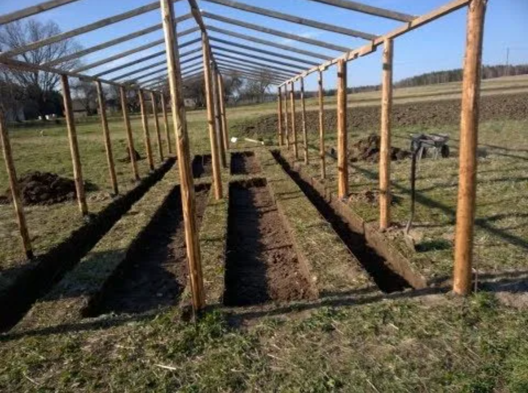 Фото из интернета 