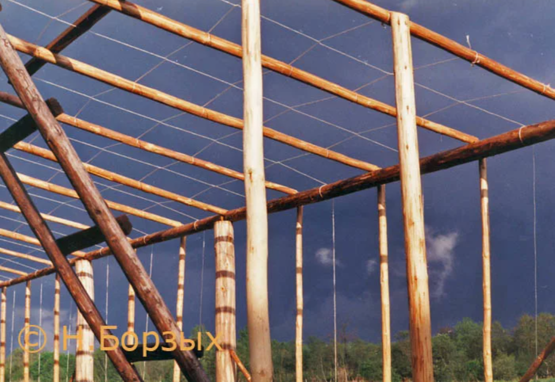 Фото из интернета. 