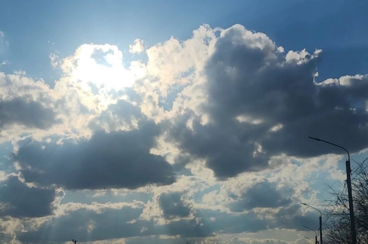    На Кубани 10 января воздух прогреется до +17 градусов