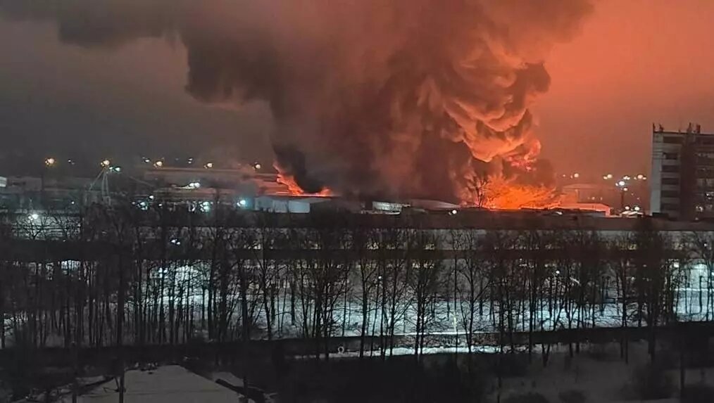Крупный пожар разгорелся в Ленинградской области. Источник: Baza