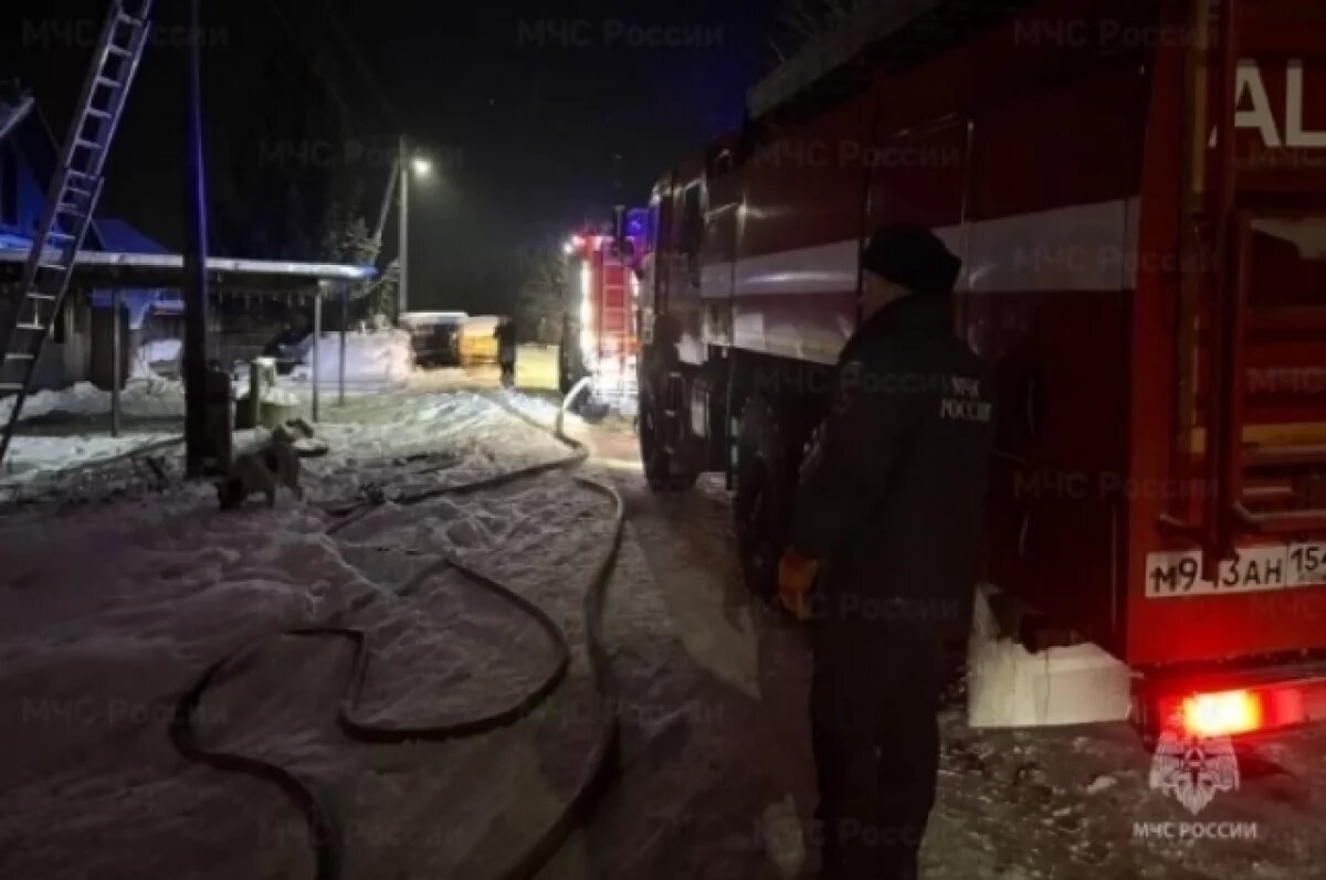    Под Новосибирском дети получили ожоги при попытке растопить печь