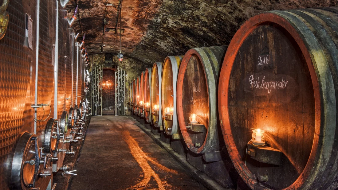 Погреб винодельни Georg Gustav Huff