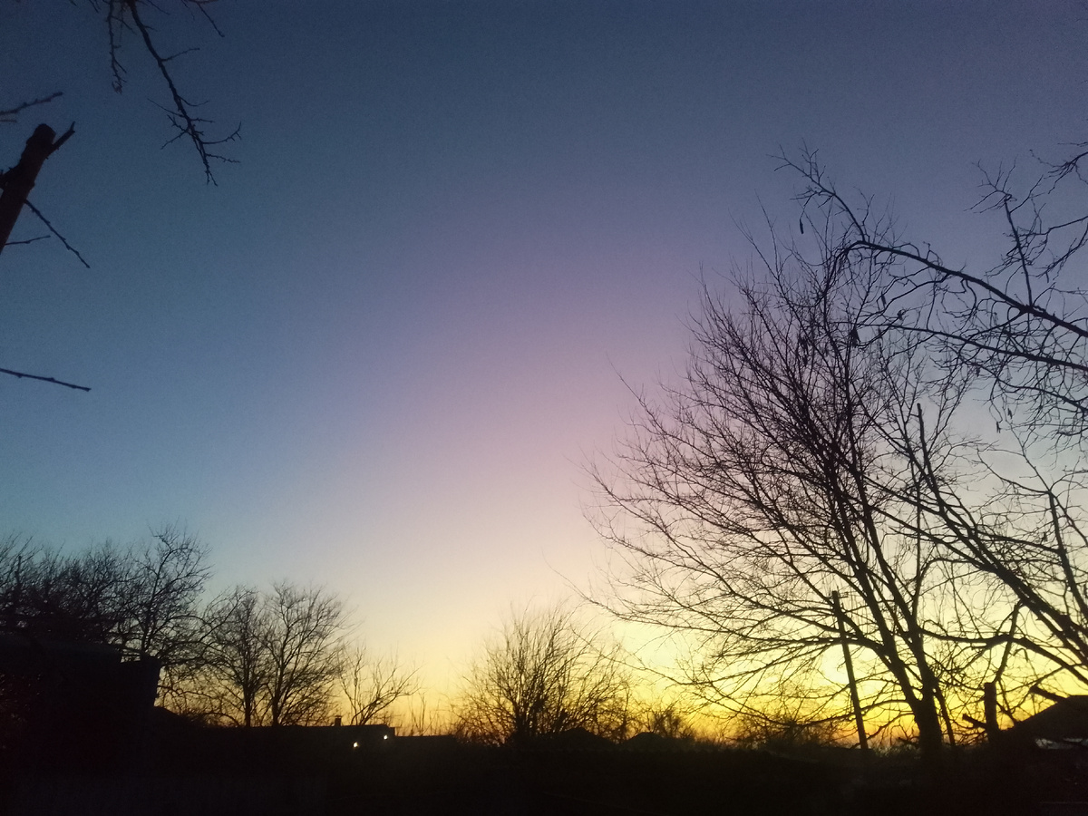 Совсем не зимние краски!