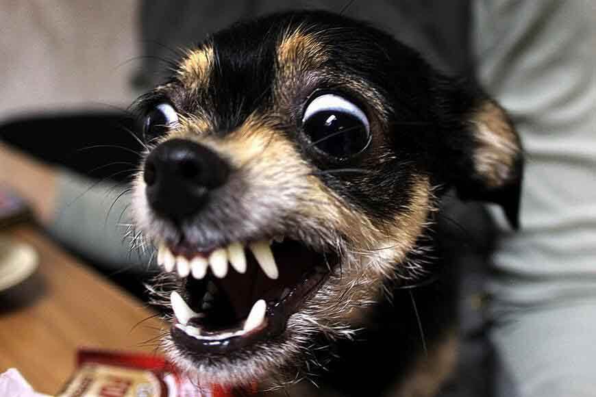 Фотография Марины Шилец