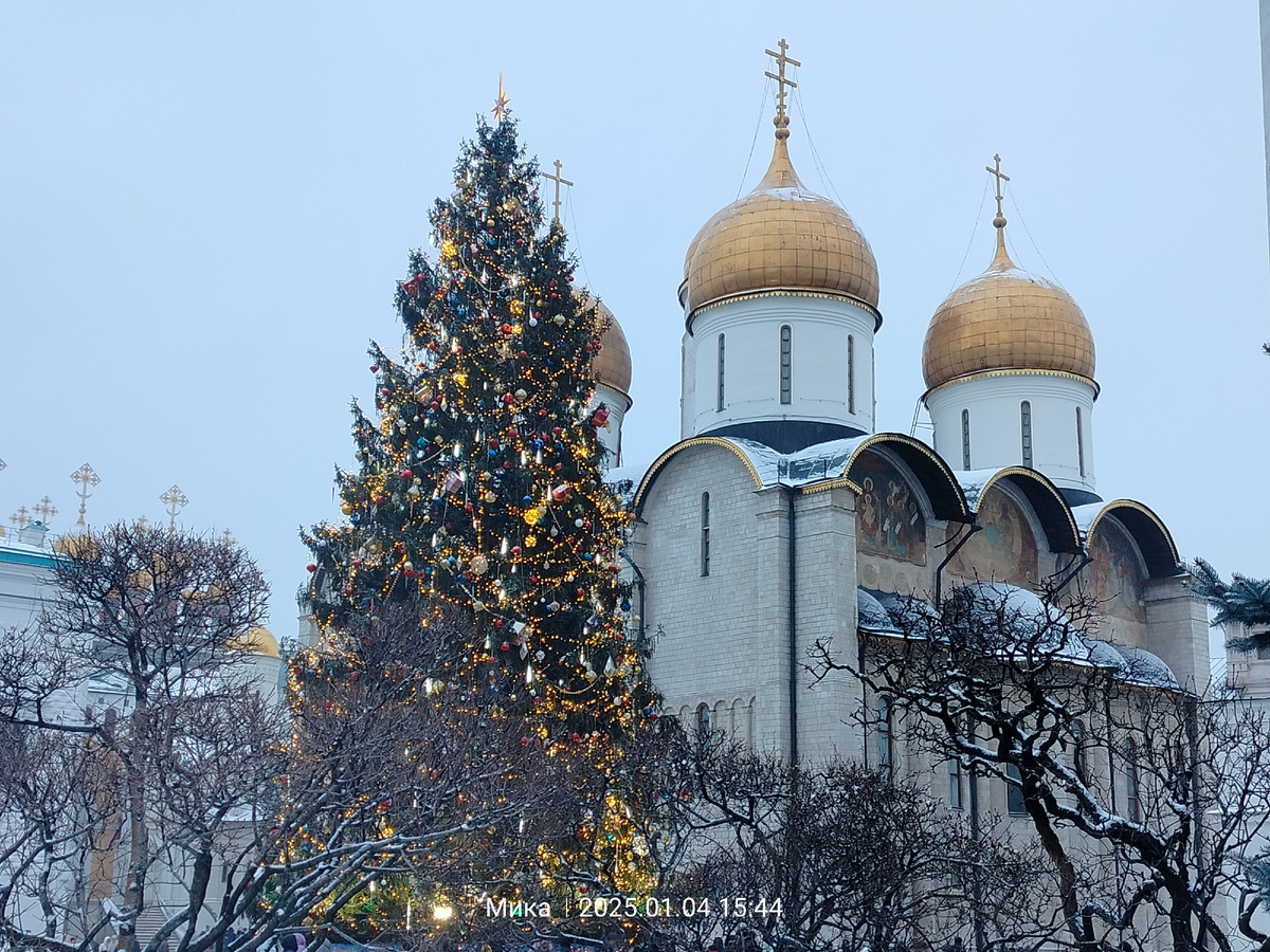Главная ёлка страны на Соборной площади в Москве