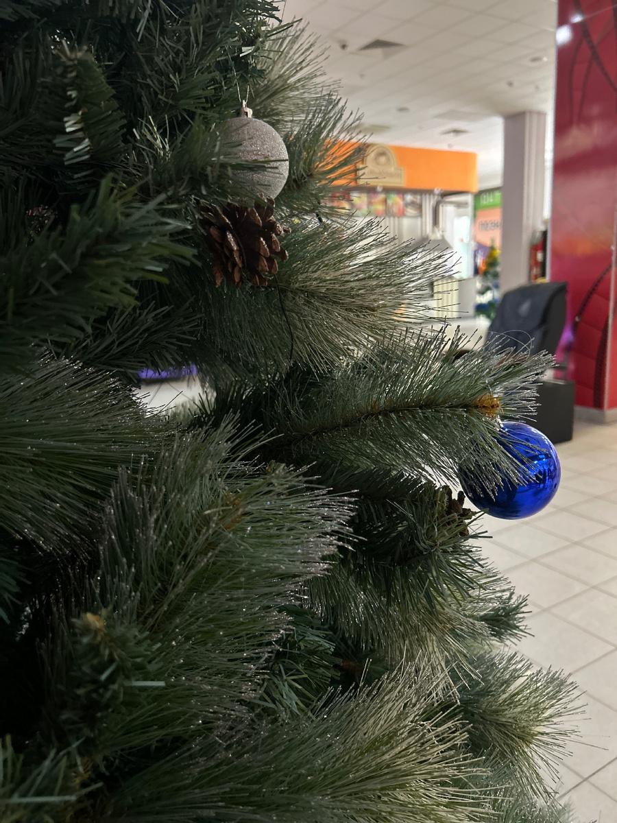 Елочка в кинотеатре🎄. Фотография автора канала.