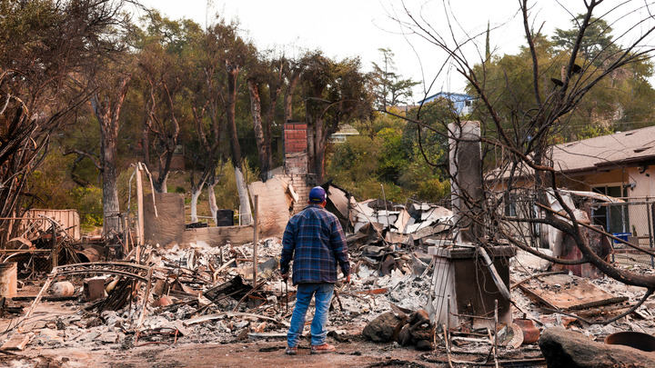 Фото: Alexander G. Seyum/Globallookpress