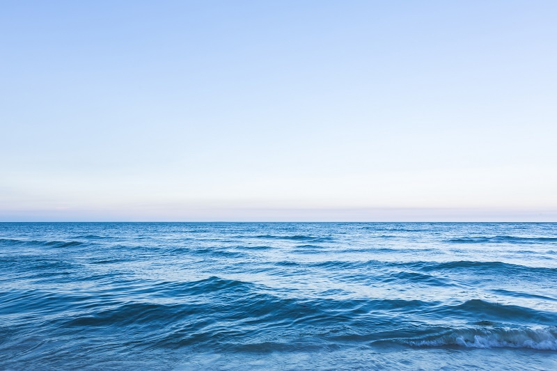    Фото: jannoon028/Freepik