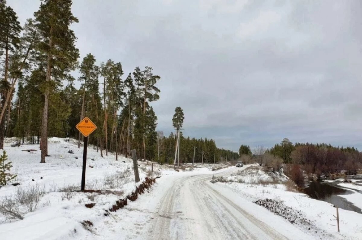    Почти 2000 туристов посетили Бузулукский бор в новогодние каникулы