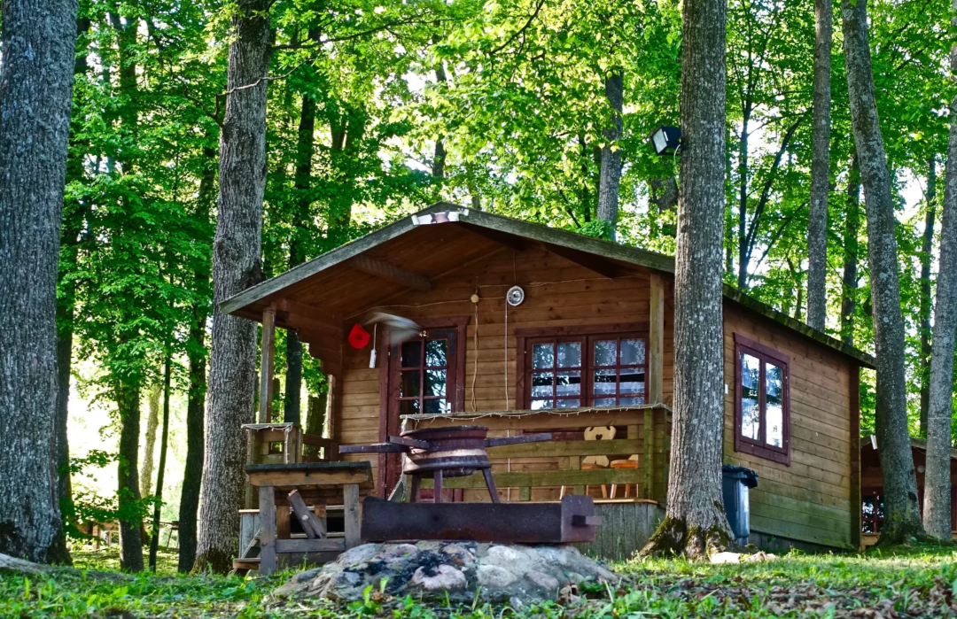 Фото из интернета 