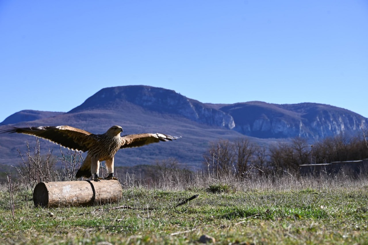 Фото: Гала Амарандо
