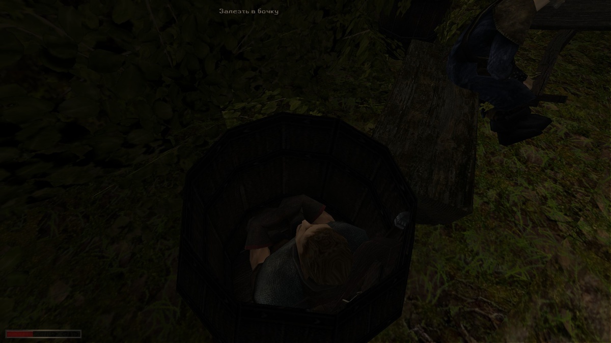 Do a Barrel Roll на польском 