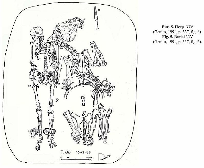 
Источник иллюстрации: «Археология евразийских степей», №6, 2020,
«Булгарские рыцари Лангобардского королевства», Ш.Р.Мингазов