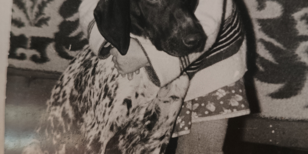 Курцхаар-это судьба.