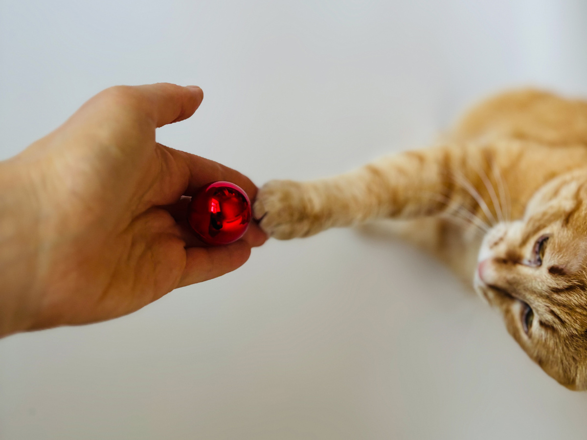 Не страшное красное