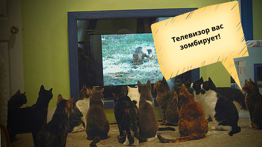 Телевизор зомбирует