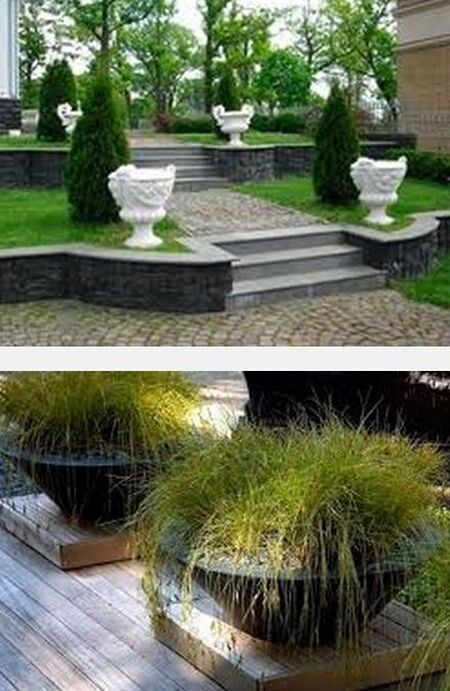 озеленение в вазонах-контейнерах