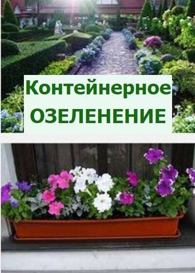 контейнерное озеленение