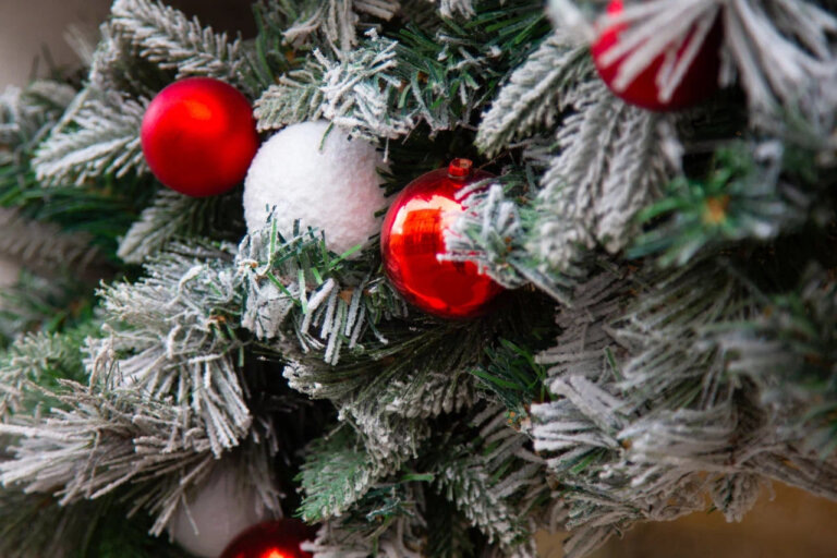    Фото: Общественная Служба Новостей Дарья Иванова