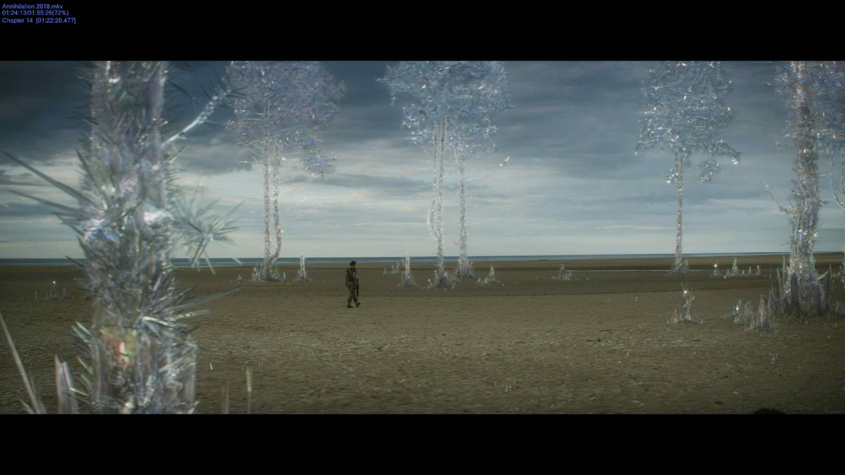 Аннигиляция 2018. Режиссёр Алекс Гарленд. Кинокомпании Paramount Pictures, Skydance Media