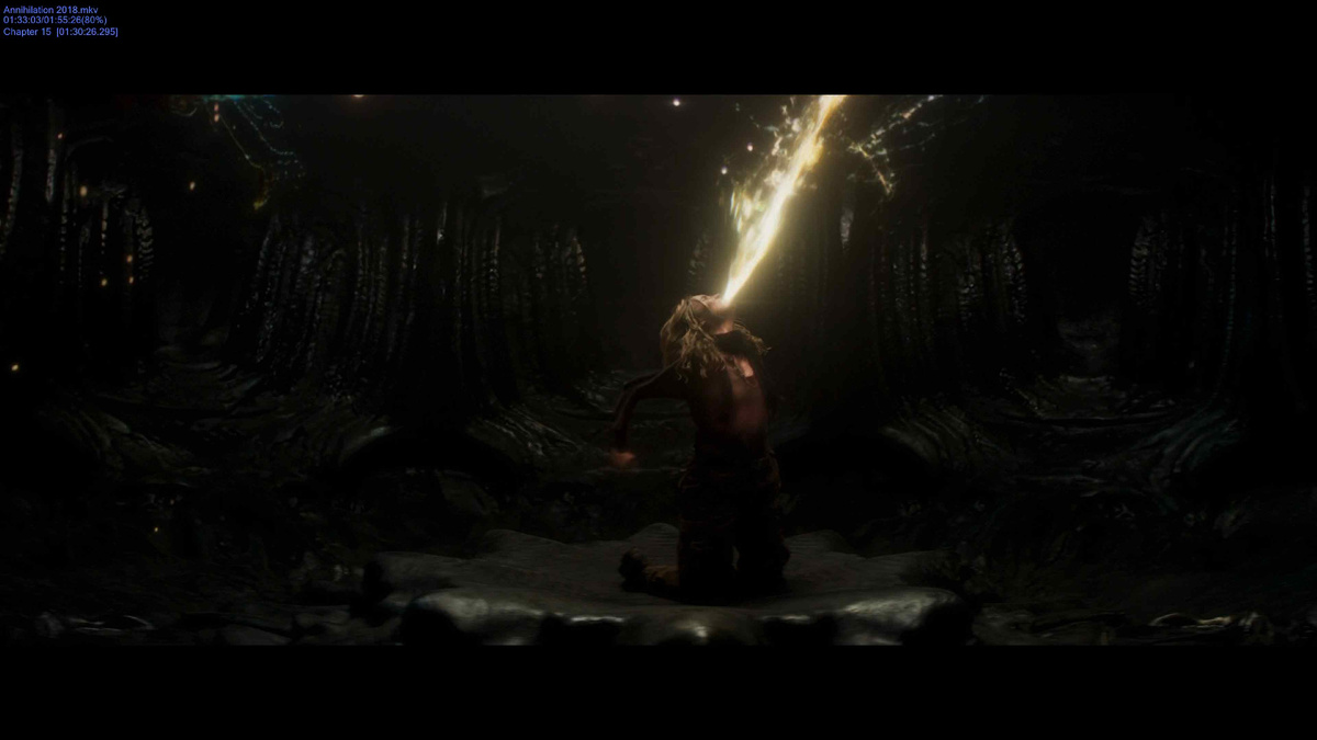 Аннигиляция 2018. Режиссёр Алекс Гарленд. Кинокомпании Paramount Pictures, Skydance Media